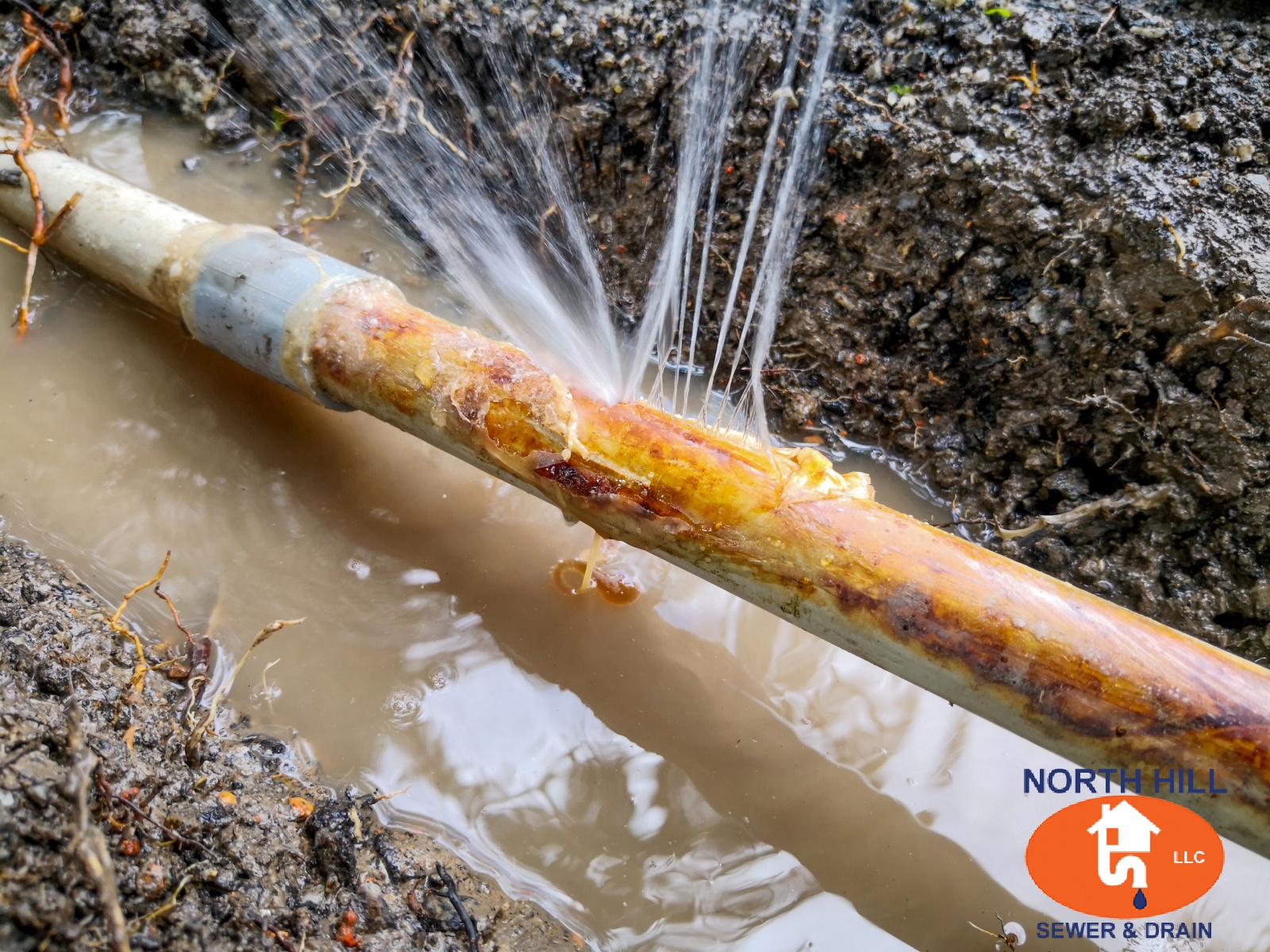 Water line leak repair service in Lake Forest Park WA residential yard